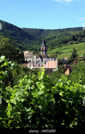 Vue Sur le Vignoble et le Village de Hunawihr. Hunawihr.  F 68 Stockfoto