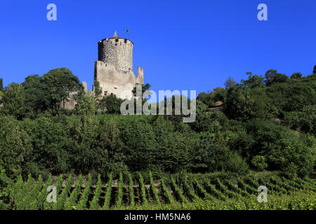 Vue Sur le Vignoble et le Château Impérial Dit Schlossberg (13ème Siècle). Kaysersberg.  F 68 Stockfoto