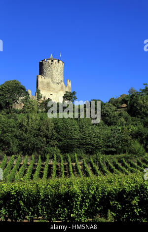 Vue Sur le Vignoble et le Château Impérial Dit Schlossberg (13ème Siècle). Kaysersberg.  F 68 Stockfoto