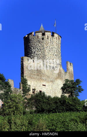 Vue Sur le Vignoble et le Château Impérial Dit Schlossberg (13ème Siècle). Kaysersberg.  F 68 Stockfoto