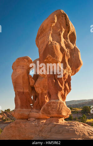 Hoodoos im Garten des Teufels im Grand Staircase Escalante National Monument, Colorado Plateau, Utah, USA Stockfoto