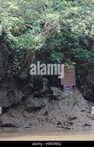 River rafting/Kanu entlang des Flusses im Thanboke Koranee National Park Krabi Thailand Stockfoto