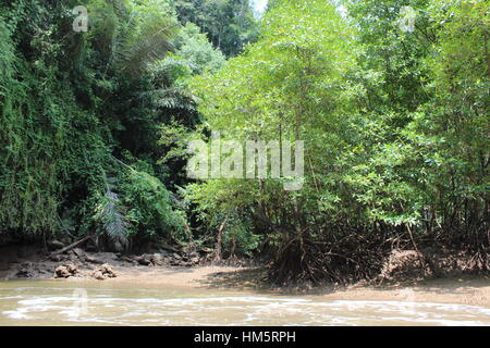 River rafting/Kanu entlang des Flusses im Thanboke Koranee National Park Krabi Thailand Stockfoto