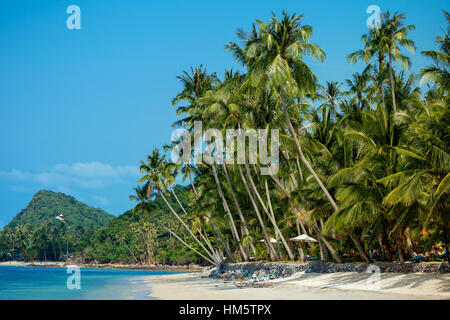 Tropischer Strand von Bo Phut Küste, die Insel Koh Samui, Thailand Stockfoto