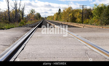 Schienen Sie, gesäumt von Bäumen führt Sie in die Ferne. Stockfoto