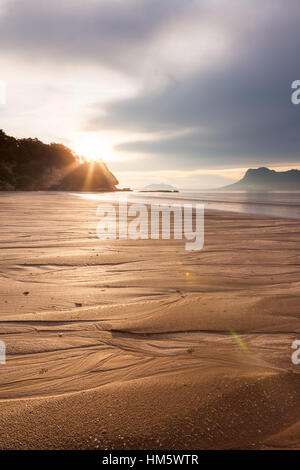 Strand von Bako Nationalpark Stockfoto