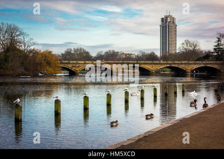 Die lange Wasser Kensington Gardens mit Basil Spence Turm (Hyde Park Barracks) im Hintergrund, London, UK Stockfoto