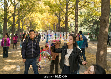 Frau bläst Seifenblasen in den Tempel der Erde Park oder Ditan Park in Peking, Volksrepublik China, Asien Stockfoto