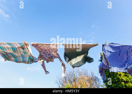 Kleidung in den Wind. Shirts auf eine Wäscheleine an einem windigen Tag Stockfoto