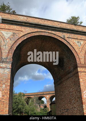 Wachstum von Unkraut auf viktorianische Backstein gebaut Eisenbahn-Viadukt Bögen über das Bourne-Tal und Surrey Straße am Branksome zwischen Bournemouth und Poole UK Stockfoto