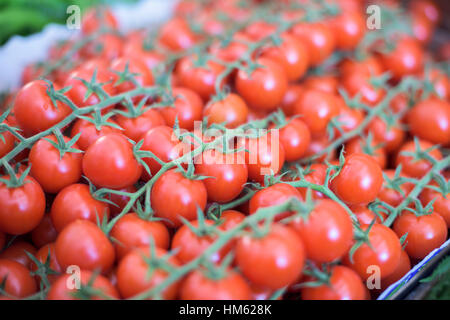 Zweig der Cherry-Tomaten in einem Markt Stockfoto