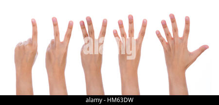 Fünf weibliche Hände isoliert auf weißem Hintergrund zählen Stockfoto