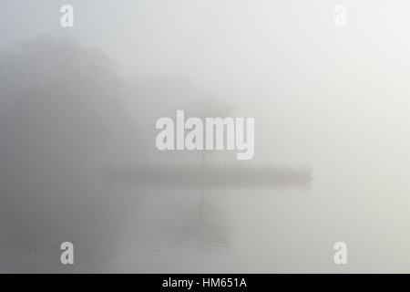 Einsame Insel, Hardwick Hall Park, Durham Stockfoto