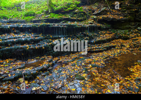 Sehr kleine und schöne Wasserfall Vasaristi in Estland, Nationalpark Lahemaa Stockfoto
