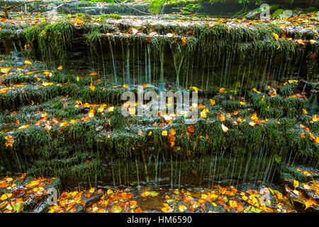 Sehr kleine und schöne Wasserfall Vasaristi in Estland, Nationalpark Lahemaa Stockfoto