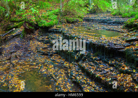 Sehr kleine und schöne Wasserfall Vasaristi in Estland, Nationalpark Lahemaa Stockfoto