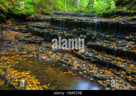 Sehr kleine und schöne Wasserfall Vasaristi in Estland, Nationalpark Lahemaa Stockfoto
