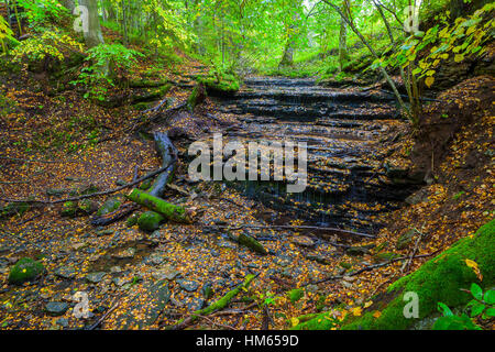 Sehr kleine und schöne Wasserfall Vasaristi in Estland, Nationalpark Lahemaa Stockfoto