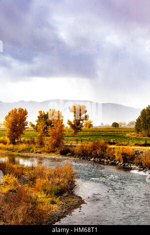 Herbstfarben während eines Schneesturms am Truckee River im Wadsworth Nevada Stockfoto