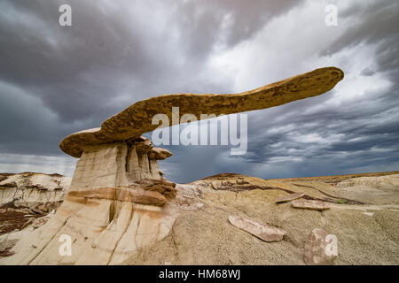 Ausgewogene Rock Zunge im BLM Wildnis, New Mexico, Badlands im Nordwesten des Staates Stockfoto