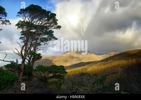 Connemara Mweelrea in der Nähe von Lettergesh County Galway westlich von Irland Berglandschaft ländlichen irischen Szene, die wilde Atlantikküste Weg Stockfoto