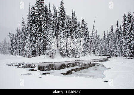 Verschneite Winterlandschaft & hölzerne Fußgängerbrücke; Emerald Lake; Yoho-Nationalpark; Britisch-Kolumbien; Kanada Stockfoto