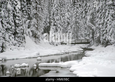 Verschneite Winterlandschaft & hölzerne Fußgängerbrücke; Emerald Lake; Yoho-Nationalpark; Britisch-Kolumbien; Kanada Stockfoto