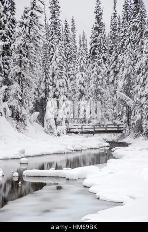 Verschneite Winterlandschaft & hölzerne Fußgängerbrücke; Emerald Lake; Yoho-Nationalpark; Britisch-Kolumbien; Kanada Stockfoto