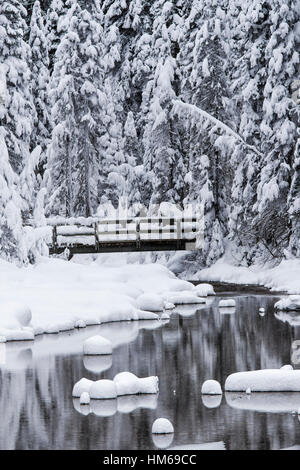 Verschneite Winterlandschaft & hölzerne Fußgängerbrücke; Emerald Lake; Yoho-Nationalpark; Britisch-Kolumbien; Kanada Stockfoto