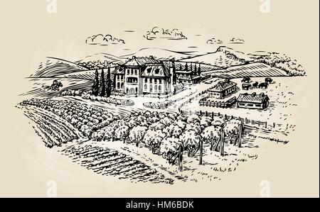 Bauernhof-Skizze. Landwirtschaft, Landwirtschaft, Weinberg. Vektor-illustration Stock Vektor
