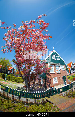 Traditionelle Häuser in Holland Stadt Volendam, Niederlande Stockfoto