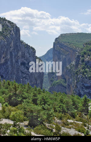 Blick auf die Tiefe Gorges du Verdon, einer der größten Canyons Europas, befindet sich in der Provence Stockfoto