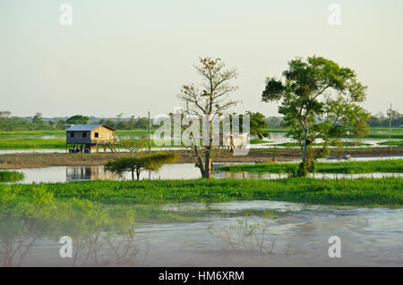 MANAUS, BR - ca. AUGUST 2011 - Stelzenhaus am Ufer Amazonas Flusses Stockfoto