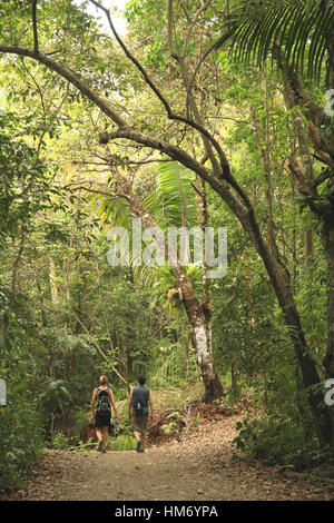 Touristen auf Waldweg, Tiefland-Regenwald, Manuel Antonio Nationalpark, Costa Rica. Stockfoto