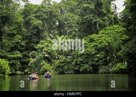 Touristen in Kanus, Regenwald, Nationalpark Tortuguero, Costa Rica. Stockfoto