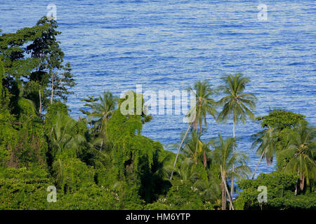 Tiefland-Regenwald und dem Pazifischen Ozean nördlich von San Pedrillo, Halbinsel Osa, Costa Rica. Stockfoto