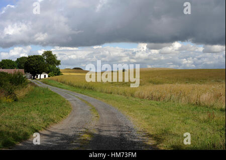 Landschaft. Felder in Oxie, Umgebung Stadt Malmö. Schweden. Stockfoto