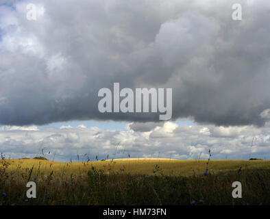 Landschaft. Felder in Oxie, Umgebung Stadt Malmö. Schweden. Stockfoto