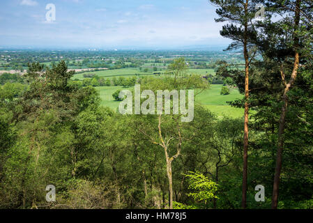 Grüne Felder in die Landschaft von Cheshire von Alderley Edge gesehen. Eine sommerliche englische Landschaft. Stockfoto