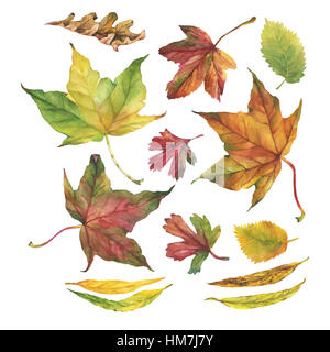 Satz von Herbstlaub. Handgezeichnete Aquarell auf weißem Hintergrund. Stockfoto