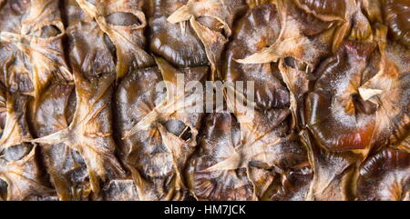 Ananas Obst Schale Hintergrundmuster hautnah Stockfoto