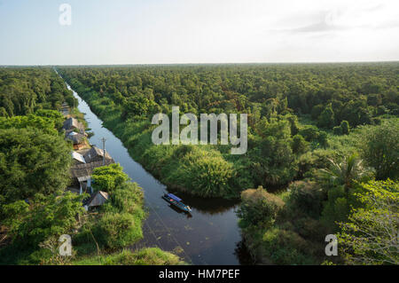 U Minh Mangrovenwald, ein Weltklasse-biologischen Reservat anerkannt von der UNESCO, erweist sich ein Top-Reiseziel mit seinem System der cana Stockfoto