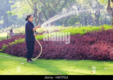 Nicht identifizierte Vietnamesin mit kegelförmiger Hut Bewässerung Rasen in einem Park. Stockfoto