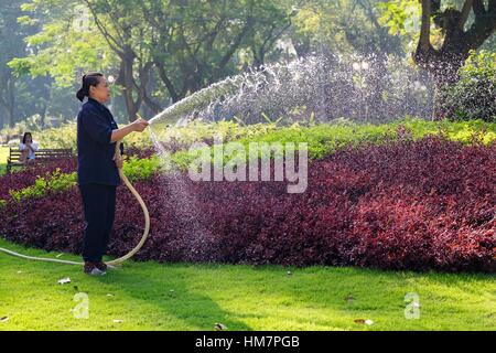 Nicht identifizierte Vietnamesin mit kegelförmiger Hut Bewässerung Rasen in einem Park. Stockfoto