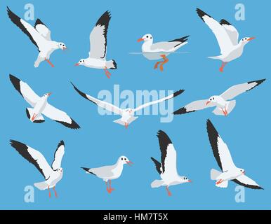Satz von Seevögeln und Seagull Vektor Stock Vektor