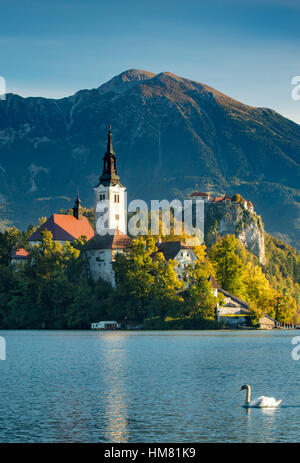 Morgensonne über St. Marys Church von der Annahme, Bleder See, obere Krain, Slowenien Stockfoto