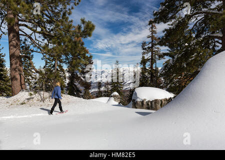 Eine Frau Schneeschuhen im frischen Pulverschnee hoch in den Bergen des Kings Canyon. Stockfoto