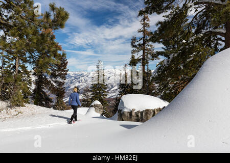 Eine Frau Schneeschuhen im frischen Pulverschnee hoch in den Bergen des Kings Canyon. Stockfoto