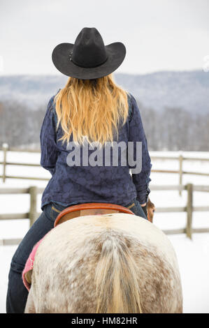 Blonde Frau auf einem grauen Appaloosa Pferd im Winter, junges Cowgirl im westlichen Freizeitkleidung, schwarzer Cowboy-Hut, Jeans Stockfoto