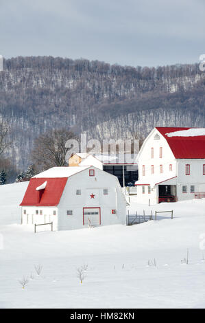Weiße Scheunen mit rotem Dach im Winter.  PA-Hof in einer sonnigen, verschneiten Landschaft mit Gebirgshintergrund und kahlen Bäumen und Zäunen. Stockfoto